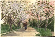 作品画像