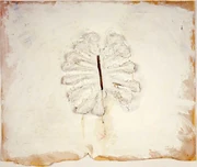 作品画像