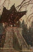 作品画像