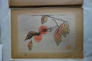作品画像
