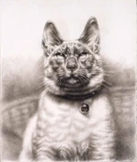 作品画像
