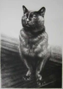 作品画像