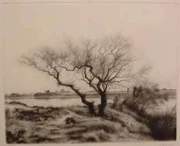 作品画像