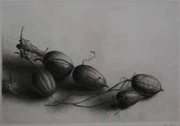 作品画像