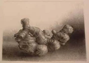 作品画像