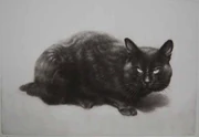 作品画像