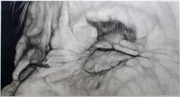 作品画像