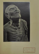 作品画像
