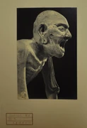 作品画像