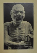 作品画像