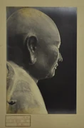 作品画像