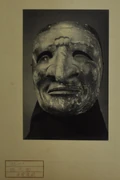 作品画像
