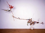 作品画像
