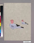 作品画像