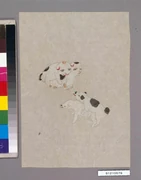 作品画像