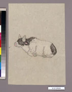 作品画像