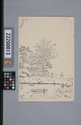 作品画像