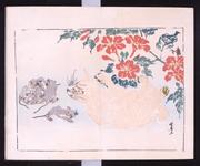 作品画像