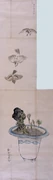 作品画像