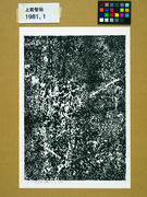 作品画像