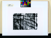 作品画像