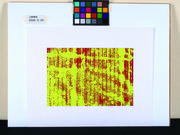作品画像