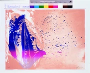 作品画像