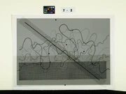 作品画像