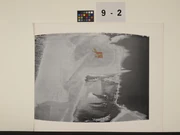 作品画像