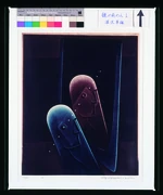 作品画像