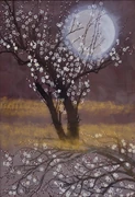 作品画像