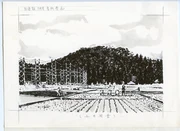 作品画像
