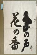 作品画像