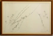 作品画像