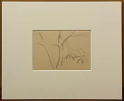 作品画像
