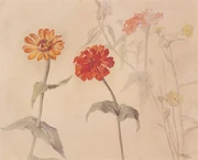 作品画像
