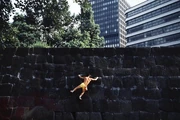 作品画像