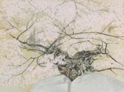 作品画像