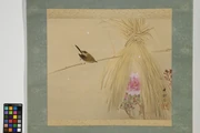 作品画像