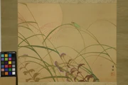 作品画像
