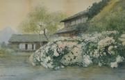 作品画像