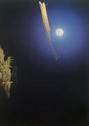 作品画像