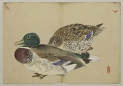 作品画像
