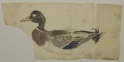 作品画像