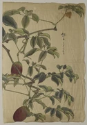 作品画像