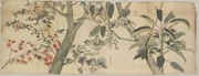作品画像