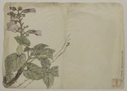 作品画像
