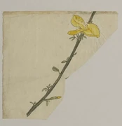 作品画像