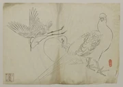 作品画像