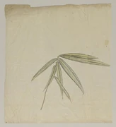 作品画像